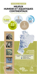Nouvelle-Aquitaine : Une mosaïque de territoires - MILIEUX HUMIDES
