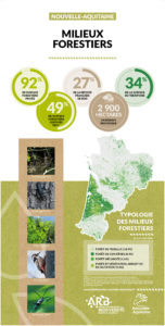 Nouvelle-Aquitaine : Une mosaïque de territoires - MILIEUX FORESTIERS