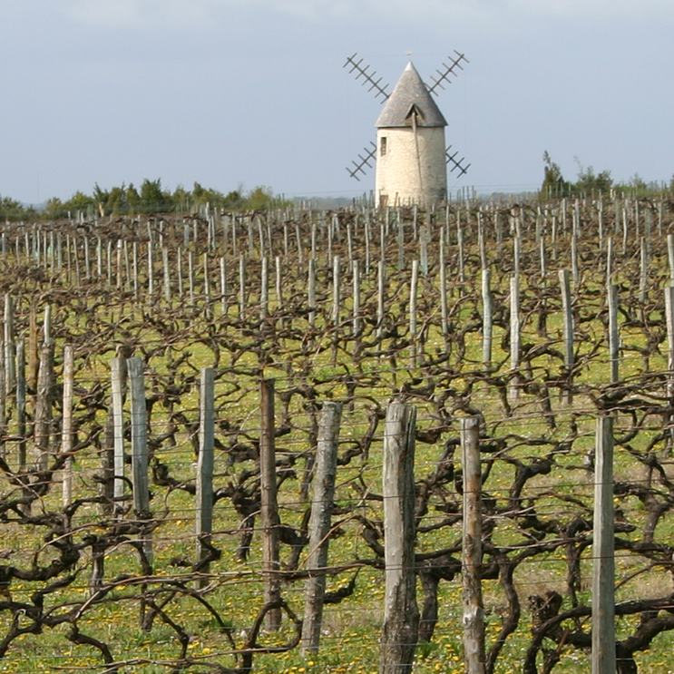 Agence Régionale de la Biodiversité NouvelleAquitaine