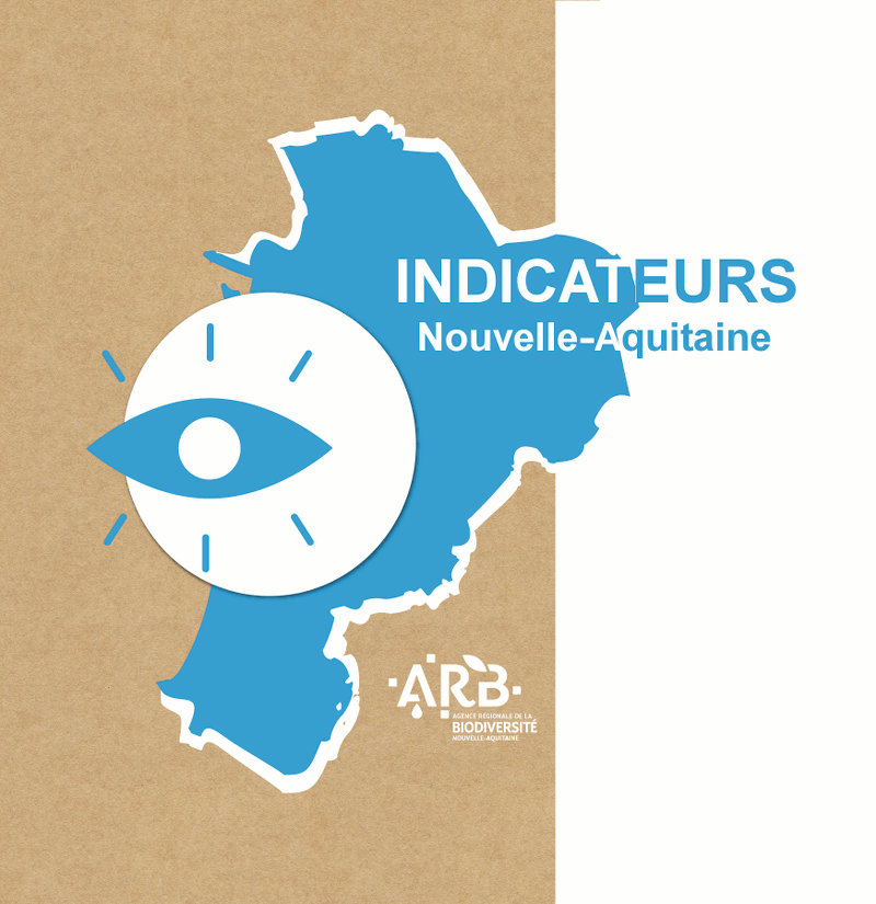 Affichage-indicateurs-bleu