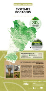 Nouvelle-Aquitaine, une mosaïque de territoires - SYSTÈMES BOCAGERS