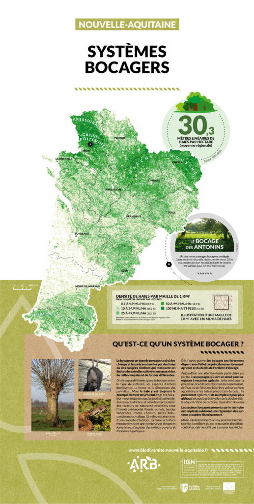 Nouvelle-Aquitaine, une mosaïque de territoires - SYSTEMES BOCAGERS