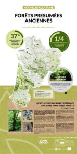 Nouvelle-Aquitaine, une mosaïque de territoires - FORÊTS PRESUMEES ANCIENNES