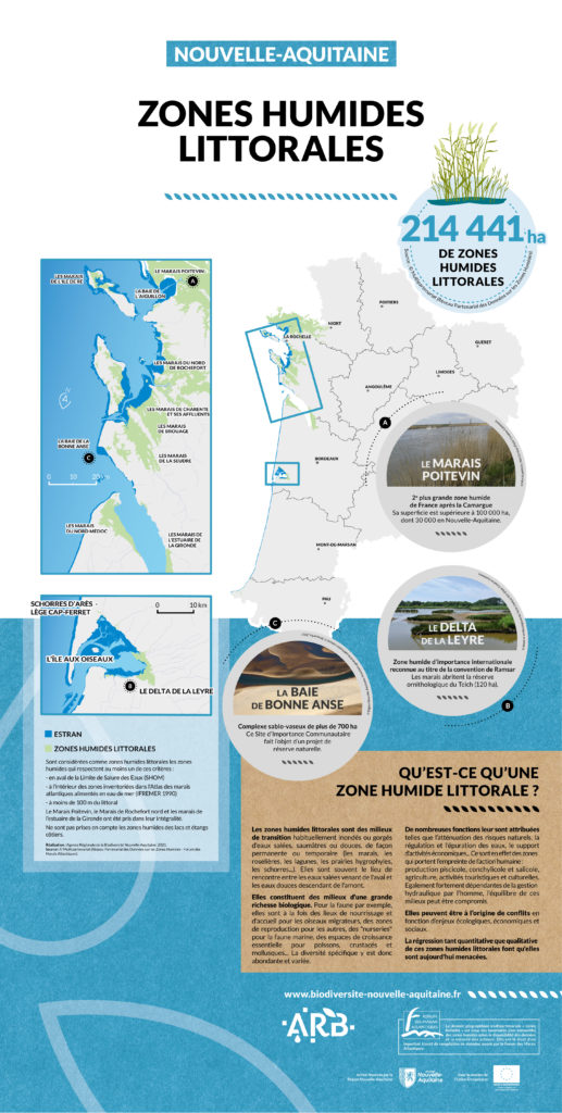 Nouvelle-Aquitaine, une mosaïque de territoires - ZONES HUMIDES LITTORALES