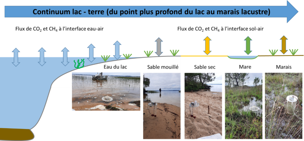 Caractérisation des flux de carbone aux interfaces eau-air (milieu aquatique) et sol-air (milieu terrestre) dans les lacs aquitains, à travers l’approche des chambres à flux.