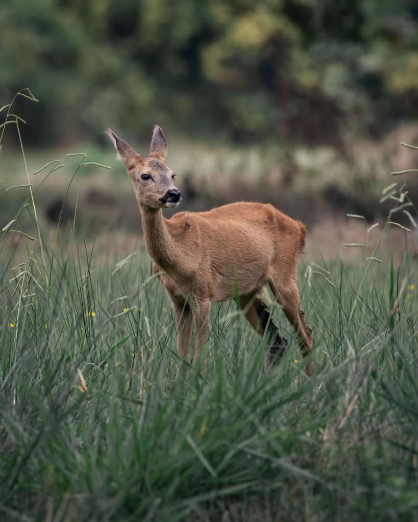 L'état d'avancement 2025 est disponible 
