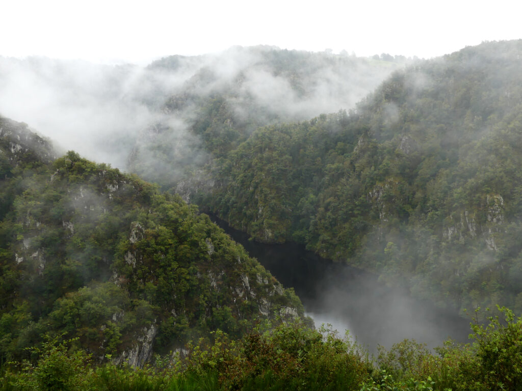 Accédez aux plateformes de données de bio et géodiversité en Nouvelle-Aquitaine ! – Agence Régionale de la Biodiversité Nouvelle-Aquitaine