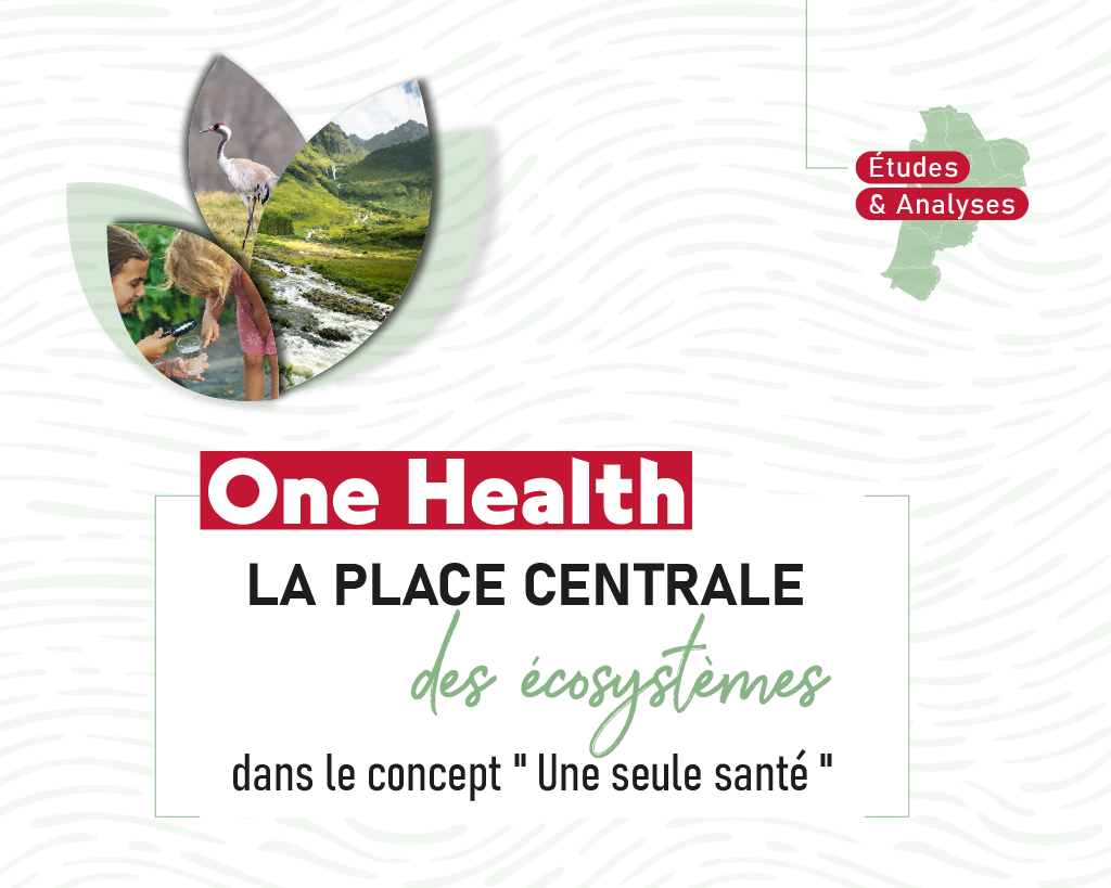 couverture du document One Health la place centrale des écosystèmes dans le concept une seule santé