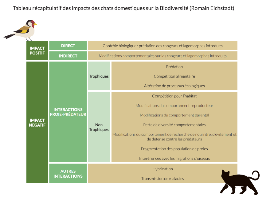 tableau récapitulatif de l'impact des chats sur la biodiversité