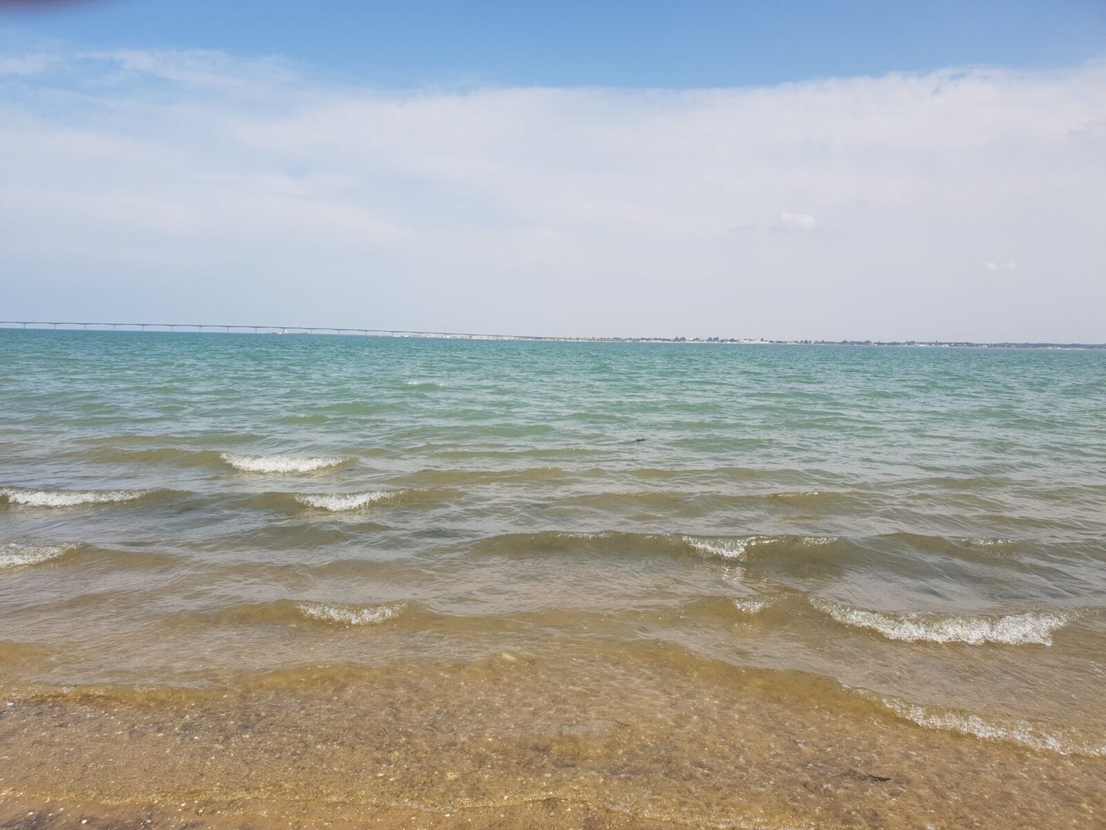 paysage de milieu aquatique - Littoral d'Oléron