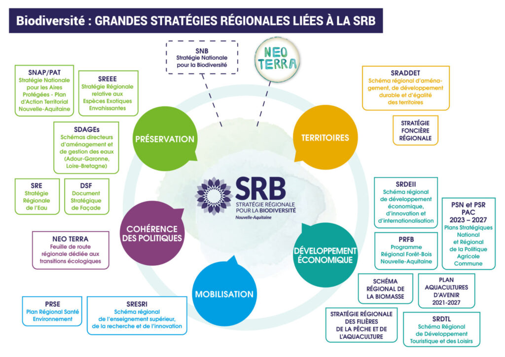 Les grandes stratégies régionales liées à la SRB