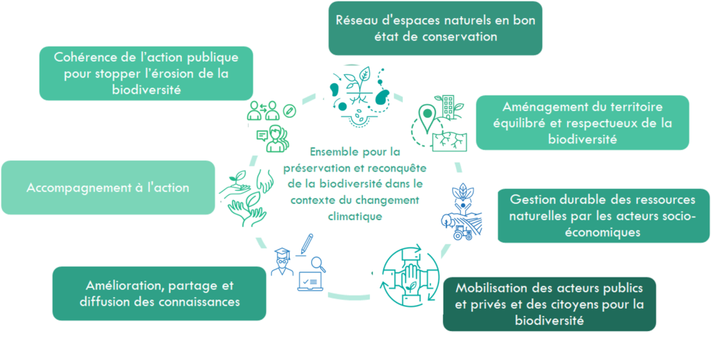 7 enjeux : Ensemble pour la préservation et reconquête de la biodiversité dans le contexte du changement climatique.