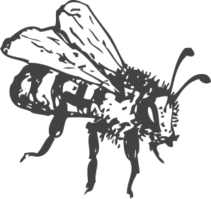 Abeille pollinisatrice dans une culture