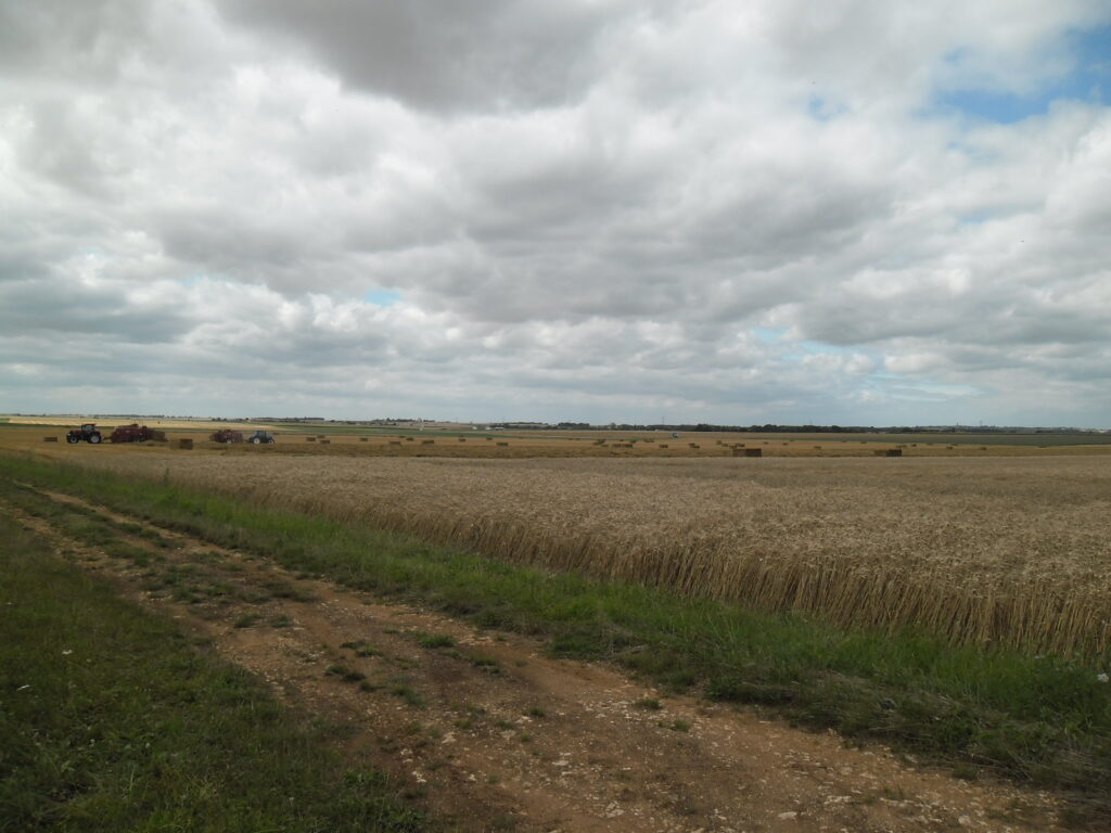 Paysage agricole de plaine en Nouvelle-Aquitaine