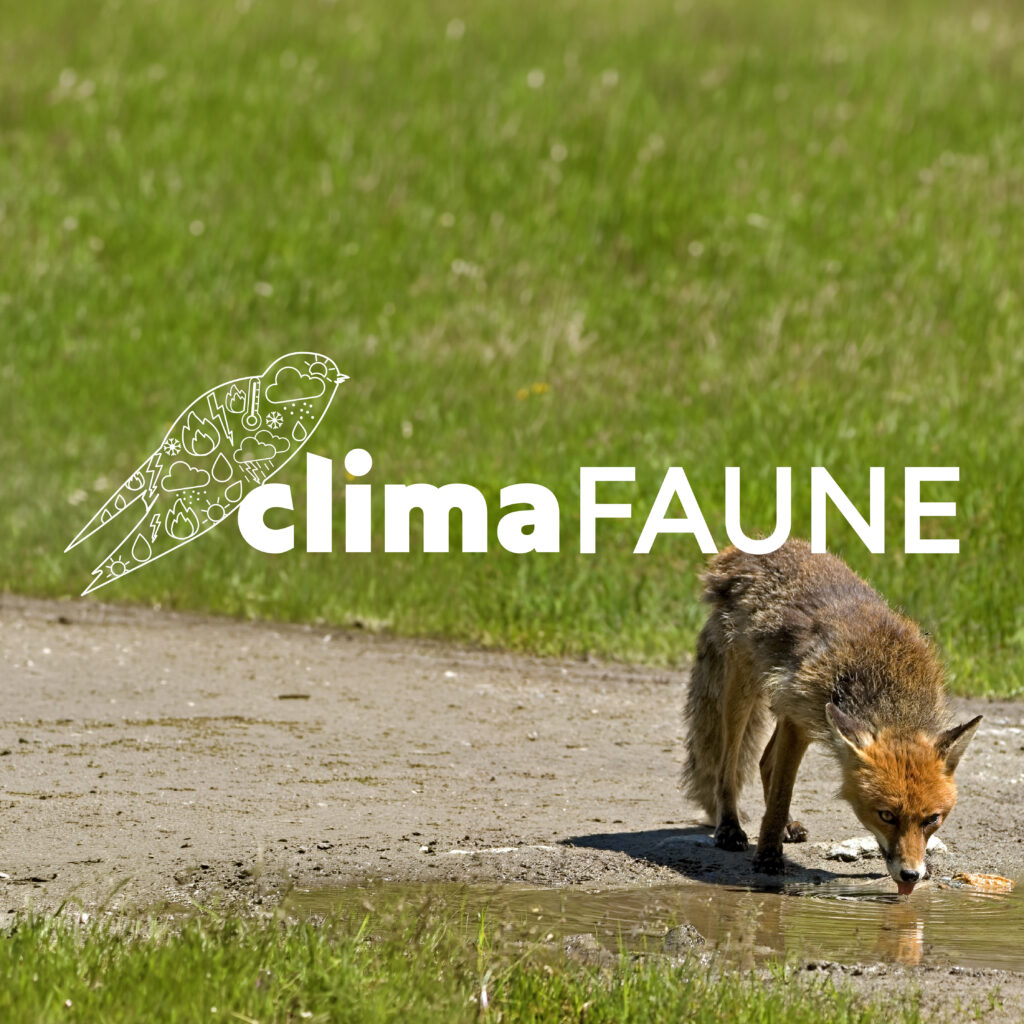 Signalez l'impact des événements climatiques sur la faune sauvage.