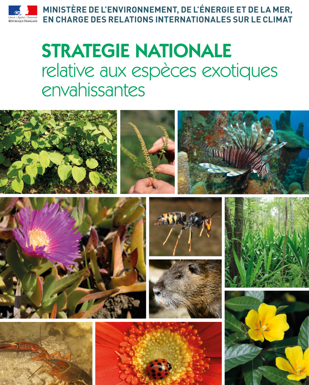 Stratégie nationale
relative aux espèces exotiques
envahissantes